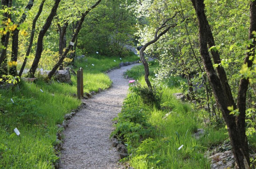 Giardino Botanico Carsiana, Italy, Italy
